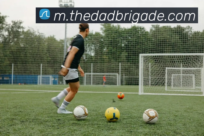 奖项证书